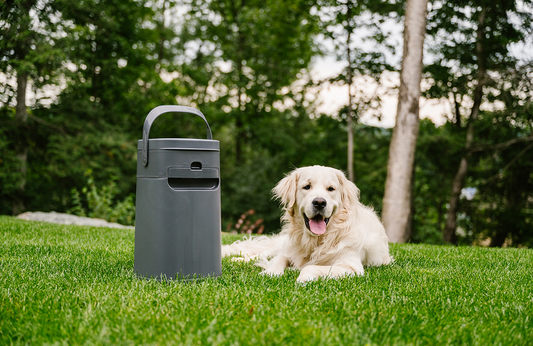 How to Get Rid of Dog Waste Smell in a Trash Can
