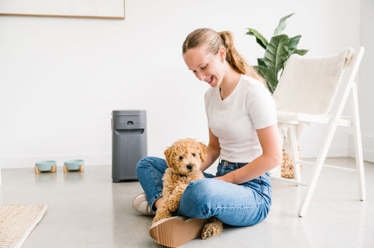 Embarking on a New Journey: Owning a Dog for the First Time