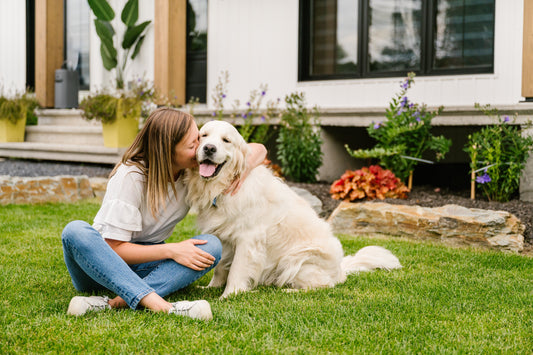 How to Get Rid of Dog Poop Smell in a Yard in 5 Steps