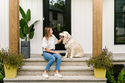 How to Care for a Dog: A Complete Guide