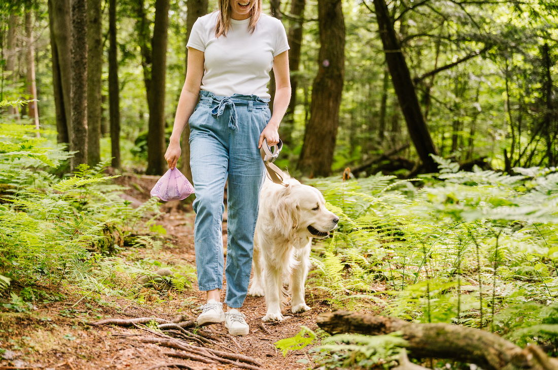 How to Dispose of Dog Poop in 5 Steps