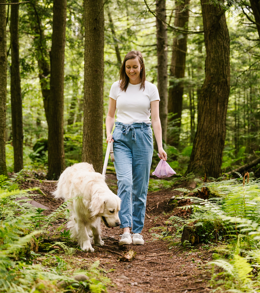 Is Dog Poop Compostable? A Complete Guide for Dog Owners