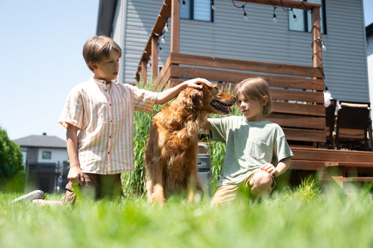 Puppy Checklist: Everything Your Dog Needs in 2026