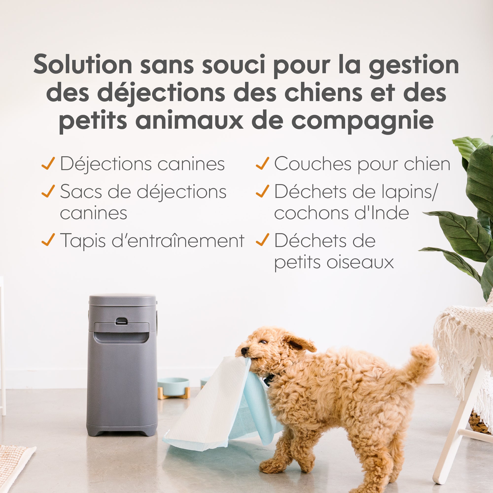 Pelle à caca pour chien - Pelle à caca - 2 pièces - Pelle à chat Pelle à caca pour chien - Pelle à caca - 2 pièces - Pelle à chat
