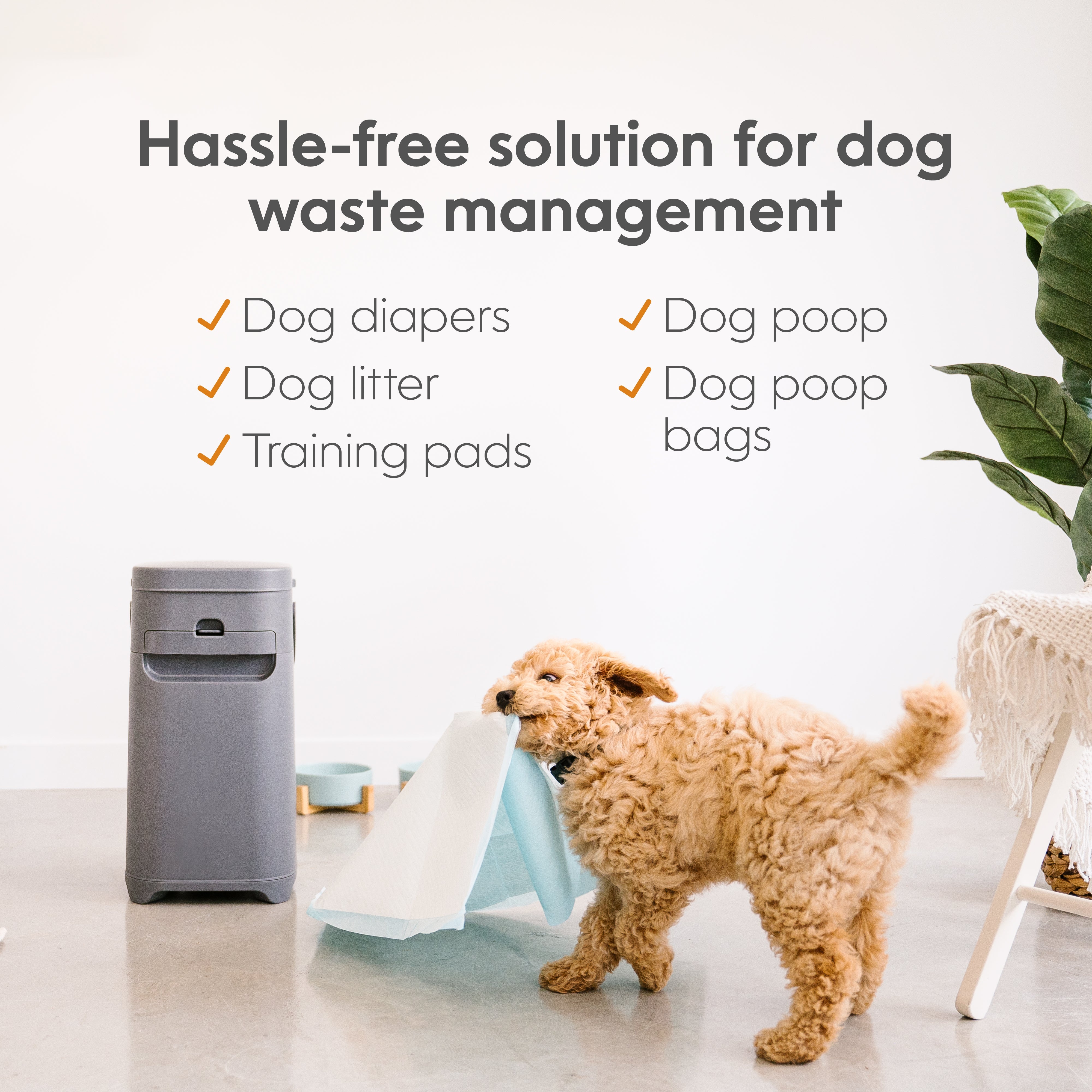 Dog waste clearance containment system